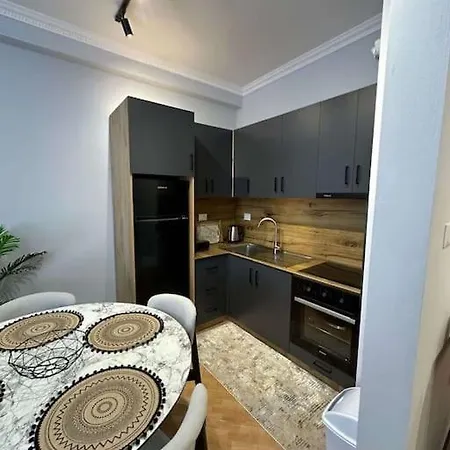 Apartment Modern And Elegant Fier